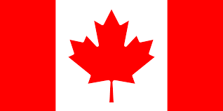 Scalp Micropigmentation Cost | SCALPS 29 Canada flag