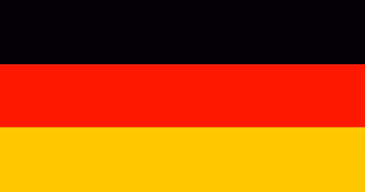 Scalp Micropigmentation Cost | SCALPS 31 German Flag