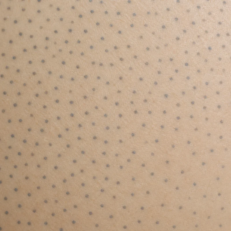 Scalp Micropigmentation & Hair Tattoo Studios | Scalps USA 3 Close-up illustration of individual pigment impressions with visible skin between them